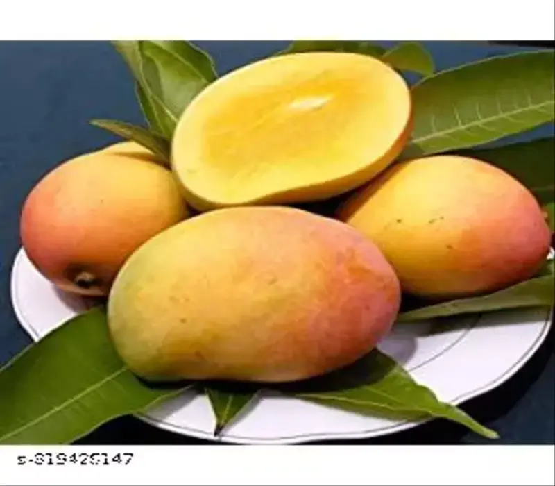 Arunika Mango