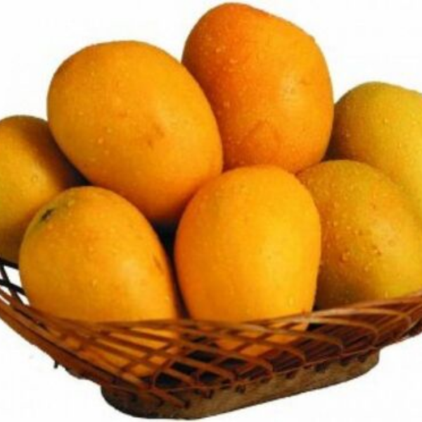 Sonpori Mango