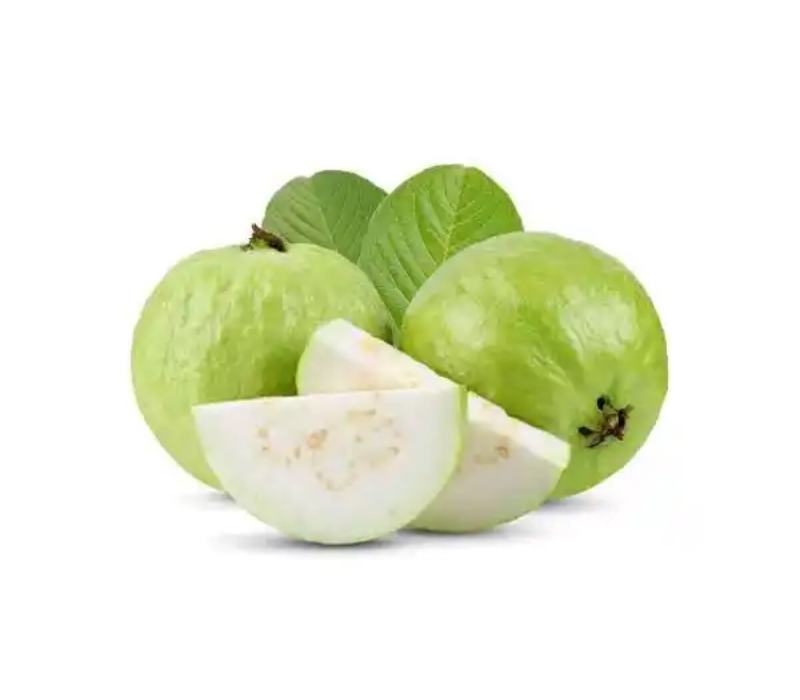 white dimond Guava