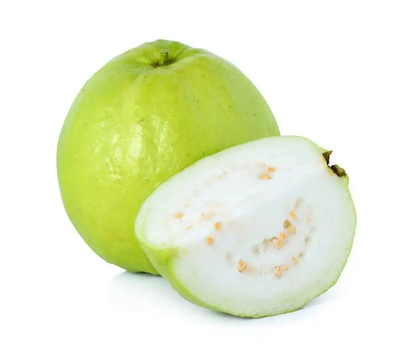 Allahabad Guava