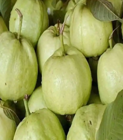 Thai 7 Guava