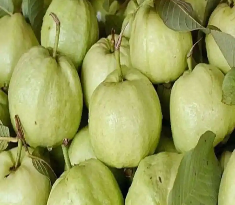 Thai 7 Guava