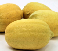gandharaj lemon