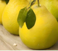 Goldren Honey Pomelo