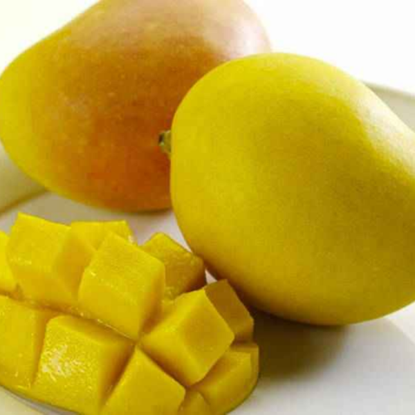 Kensington Pride Mango