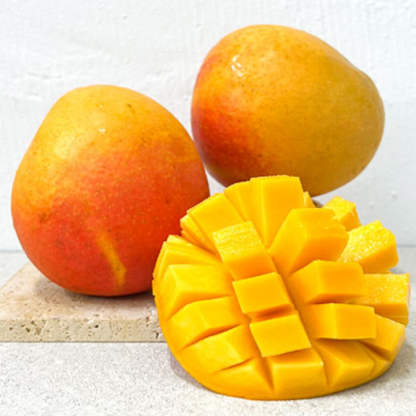 R2E2 Mango