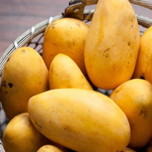 Brunei King Mango