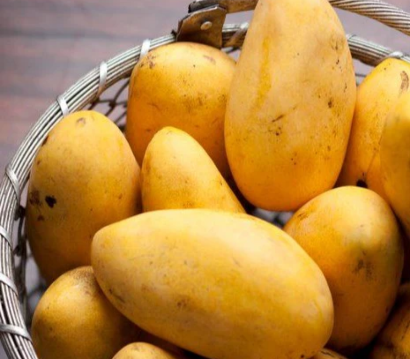 Brunei King Mango