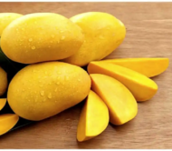 Kohitur Mango