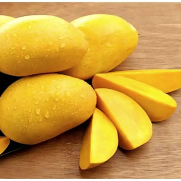 Kohitur Mango
