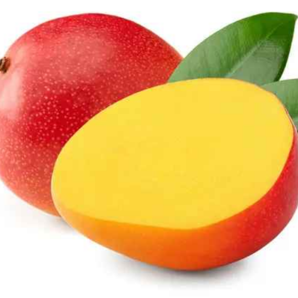 American Kent Mango