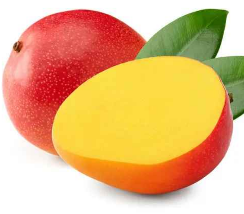 American Kent Mango