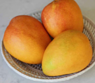 Son of Gold Mango