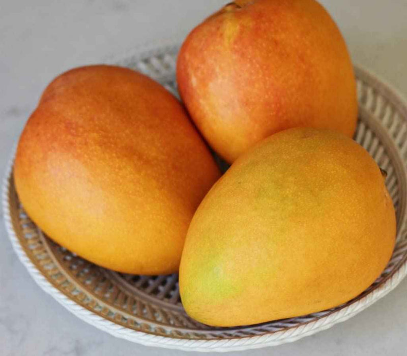 Son of Gold Mango