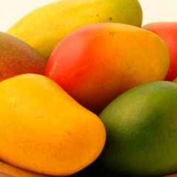 Keitt Mango