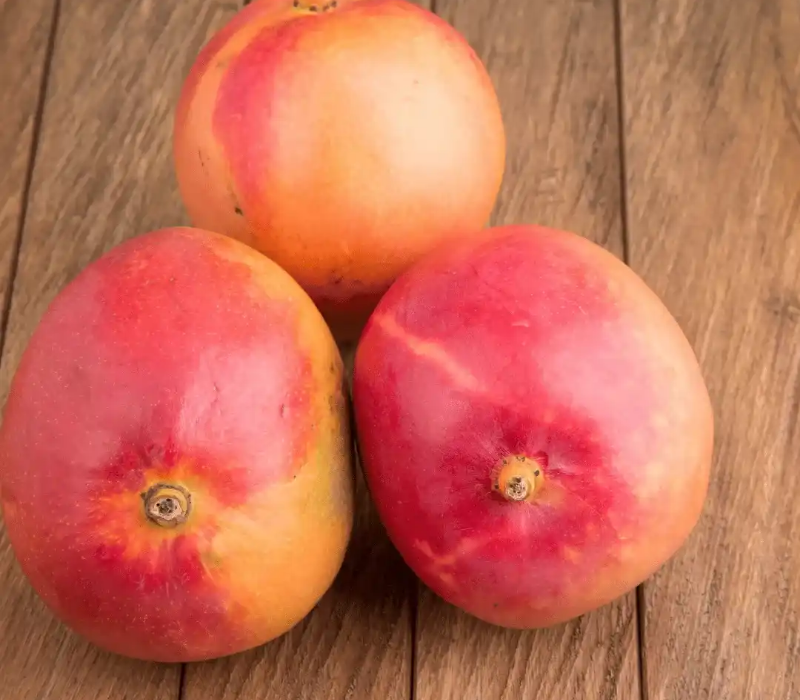 Suvarnarekha Mango
