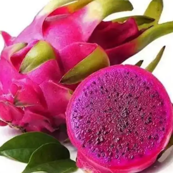 Red Dragon Fruit