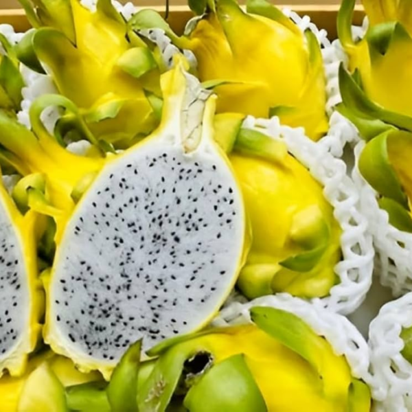 Yellow Dragon Fruit