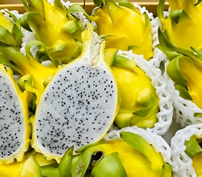Yellow Dragon Fruit
