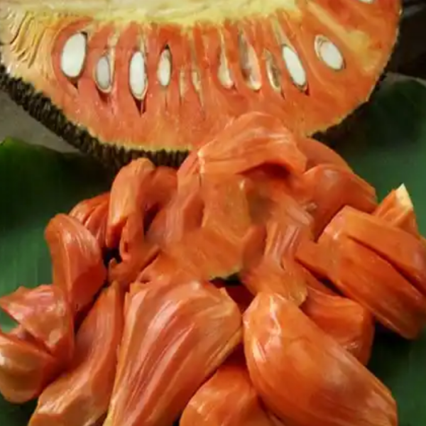Pink Jack Fruit