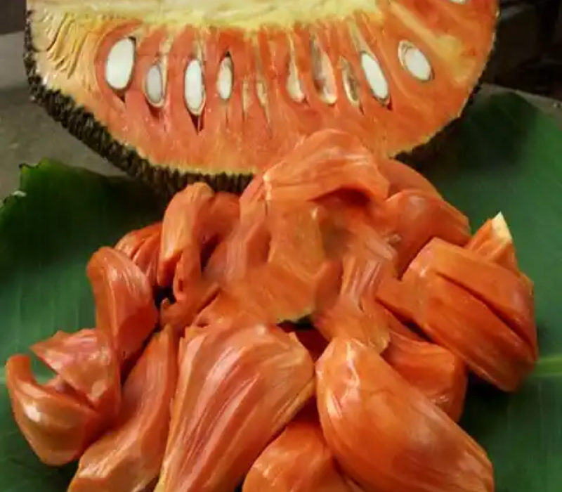 Pink Jack Fruit