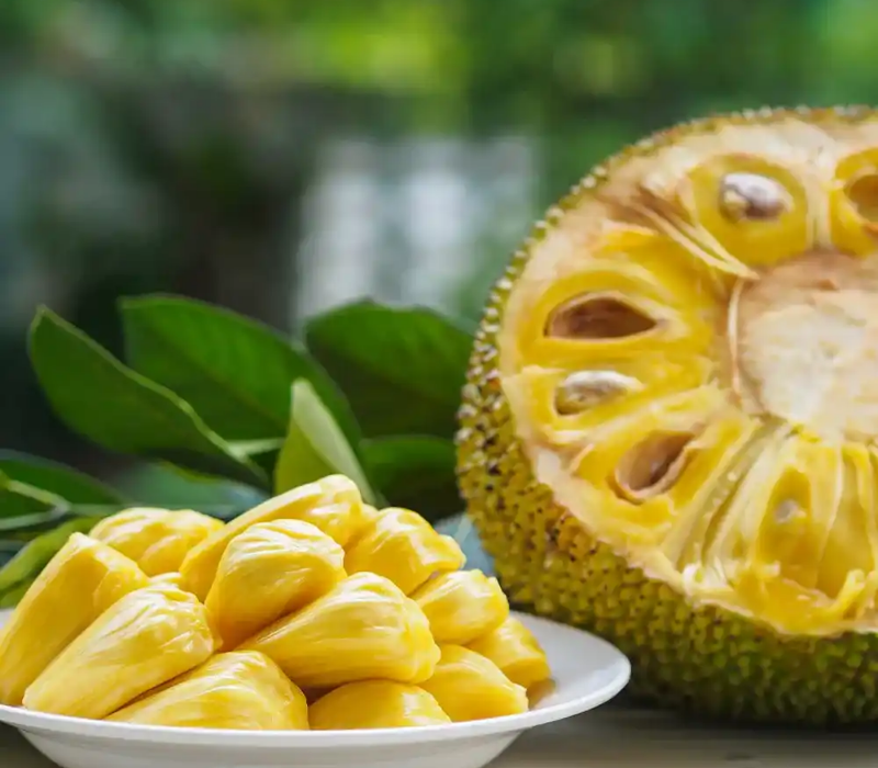 vietnam super early jackfruit(All Time)