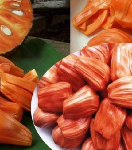 Siddhu Jackfruits