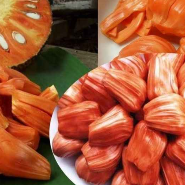 Siddhu Jackfruits