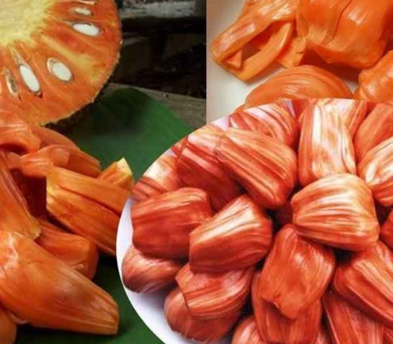 Siddhu Jackfruits