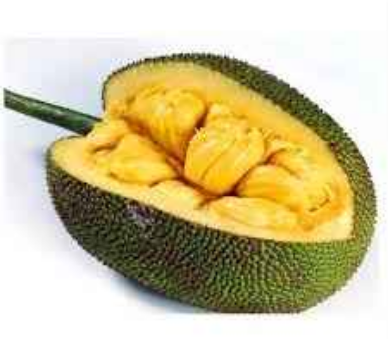 Gamless Jackfruit