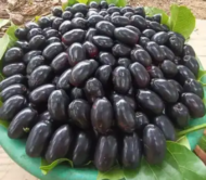 Thai Black Jamun